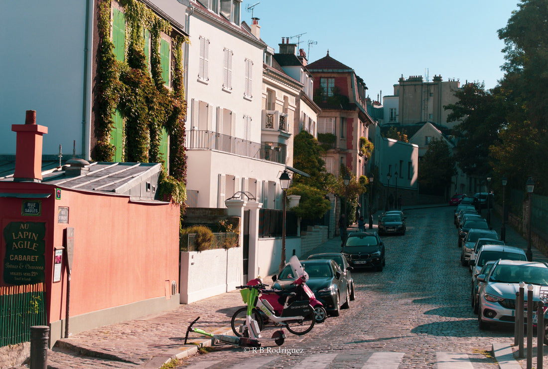Maison Favorites: Best-Selling Fine Art Prints Loved Worldwide