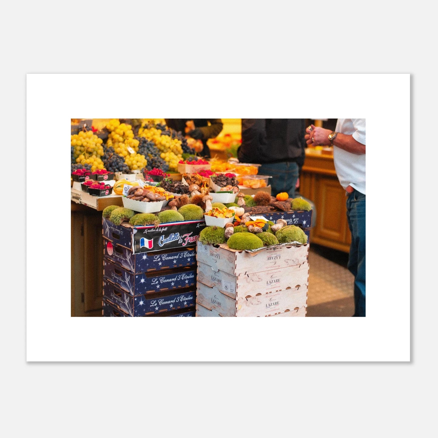 72a926c6-c4ff-4ab4-8bca-51493bd1ccea