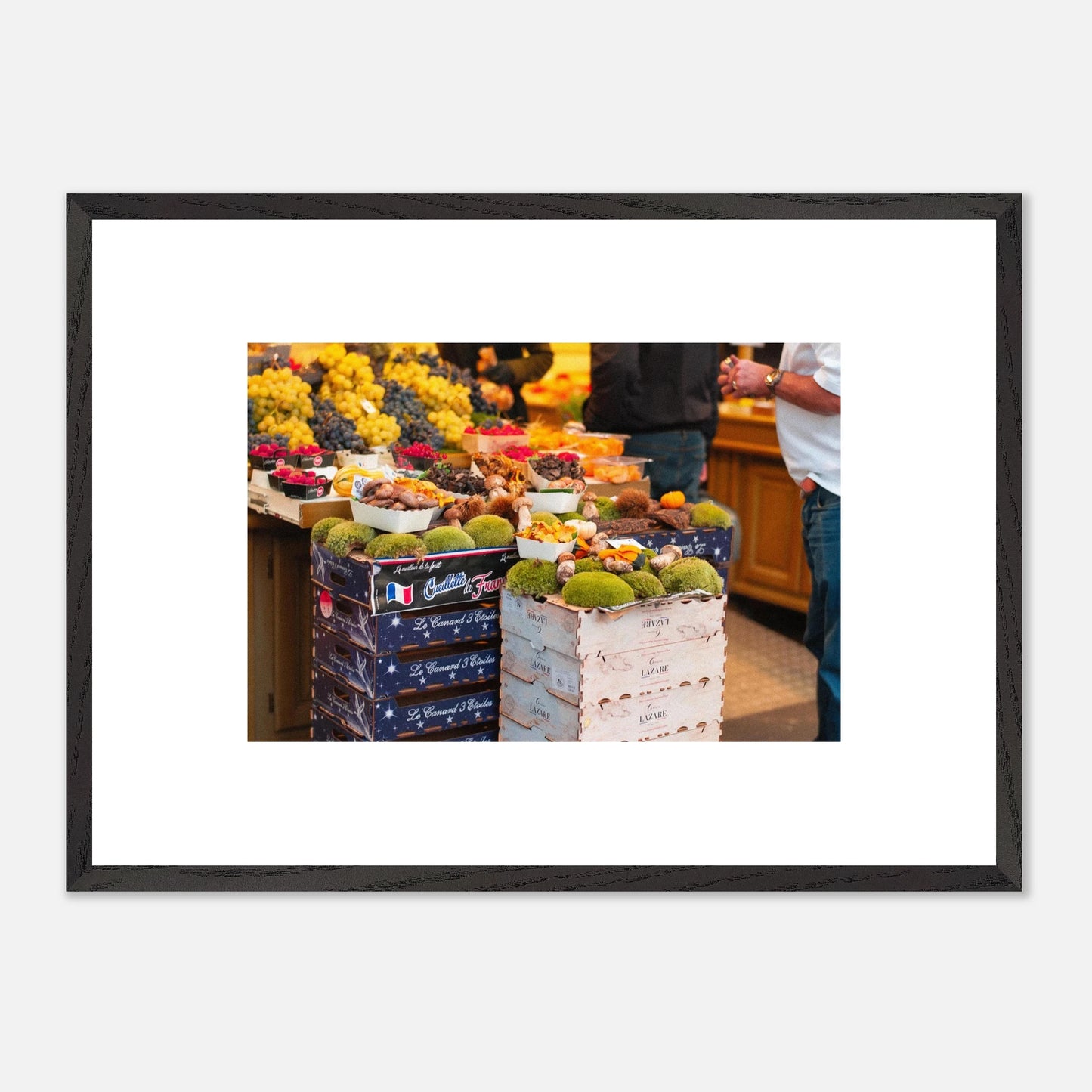 80b5d533-33ca-4411-88e9-32132d754cb0