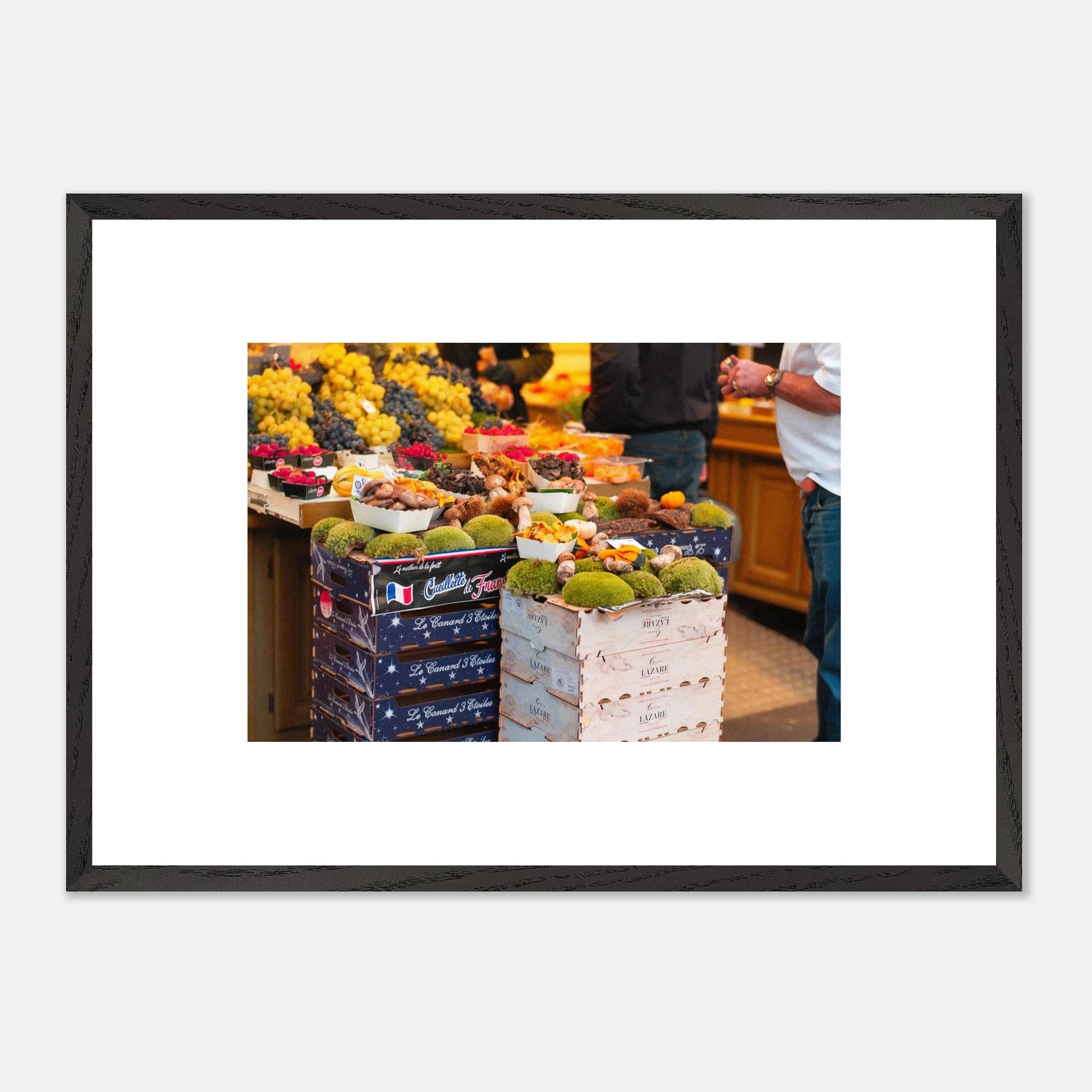 80b5d533-33ca-4411-88e9-32132d754cb0